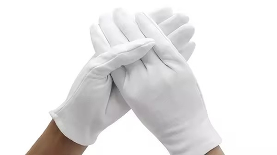 Wholesale Industrial Usework White Cotton Working Gloves For Packaging Anti Fingerprint Gloves Safety Gloves